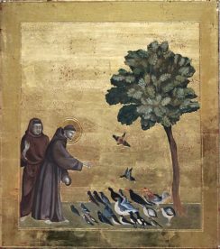D'après Giotto - Saint François d'Assise - Sophie D